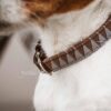 Dog Collar Triangle - Image 6
