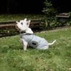 Dog Coat Waterproof 160g - Image 7