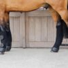 3D Spacer Travel Boots Front - Image 4