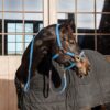Plaited Nylon Horse Lead - Image 9