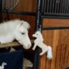 Relax Horse Toy Sammy - Image 6