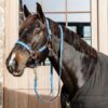 Plaited Nylon Horse Lead - Image 8