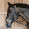 Working Motion Bridle - Image 13