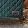 Stable Guard - Image 3