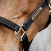 Nylon Anatomic Halter - Image 11