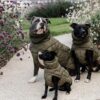 Dog Coat Winter Pina - Image 7