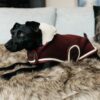 Dog Coat Heavy Fleece - Image 6