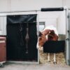 Stable Guard - Image 11