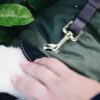 Dog Coat Waterproof 300g - Image 3