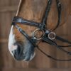 Working Motion Bridle - Image 6