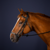 Adjustable Drop Noseband Bridle - Image 1