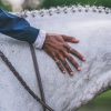 5/8" Laced Reins - Image 1