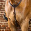 Bridge Breastplate - Image 1