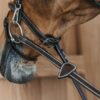 Flash Noseband Bridle with Snap Cheekpieces - Image 2