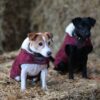 Dog Coat Original - Image 3