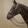 Matte Large Crank Noseband Double Bridle - Image 3