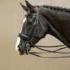 Matte Large Crank Noseband Double Bridle - Image 1