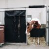 Stable Curtain - Image 11