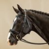 Patent Large Crank Noseband Bridle With Flash - Image 3