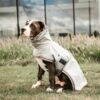 Dog Raincoat - Image 4