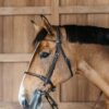 Round Leather Bridle - Image 5