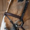 Plaited Flash Noseband Bridle - Image 2