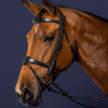 Anatomic Flash Noseband Bridle - Image 1