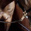 Horse Box Lead & Cross Ties Silicone - Image 4