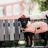 Dog Coat Waterproof 160g - Image 5