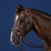 Flash Noseband Double Bridle - Image 3