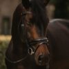 Patent Large Crank Noseband Bridle With Flash - Image 1