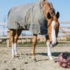Relax Horse Play & Hay Ball - Image 21