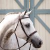 Wide Noseband Hunter Bridle - Image 1
