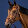 X-Fit Bridle - Image 1