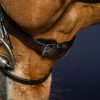 Flat Leather Bridle With Snap Hooks - Image 4