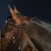 "Difference" Bridle - Image 3