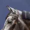 Flash Noseband Double Bridle - Image 2