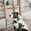 Dog Coat Waterproof 160g - Image 10