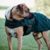 Dog Coat Original - Image 9