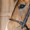 Round Leather Bridle - Image 6