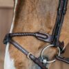Braided Flash Noseband Bridle - Image 2