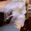Almond Gloss Purple Shampoo - Image 4