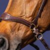 D Motion Bridle - Image 3
