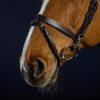 Flat Leather Bridle With Snap Hooks - Image 2