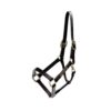 Leather Halter Wellington - Image 1
