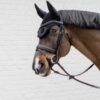 Plaited Flash Noseband Bridle with Pull back - Image 5