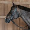 Flash Noseband Bridle with Snap Cheekpieces - Image 5