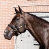 Nylon Anatomic Halter - Image 3