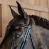 Plaited Flash Noseband Bridle - Image 5