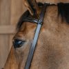 Training Bridle - Image 2
